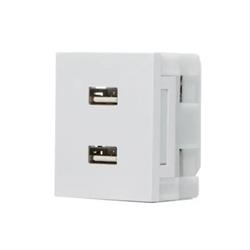 MODULO USB DOBLE COMÚN 1000V