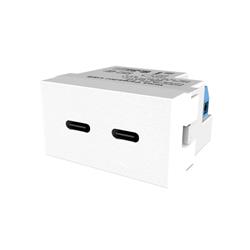 MODULO DOBLE USB C CARGA 3A BLANCO - PLATINUM
