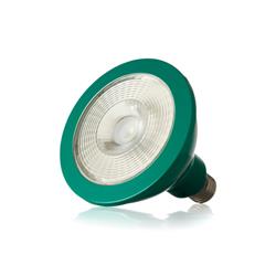 LAMPARA LED PAR38 8W VERDE - SICA
