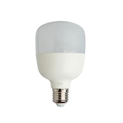 LAMPARA DE ALTA POTENCIA 20W LD - SICA